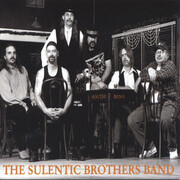 The Sulentic Brothers Band