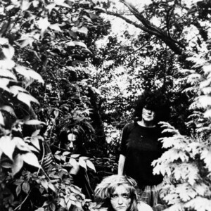 The Slits