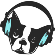 Snarky Puppy