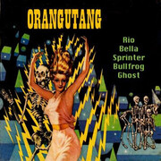 Orangutang
