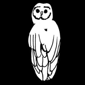 Trampled By Turtles
