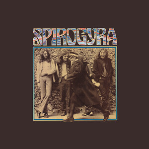 Spirogyra