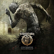 Acrassicauda