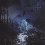Forest Silence