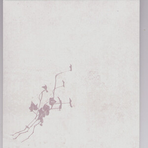 This is a Process of a Still Life