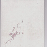 This is a Process of a Still Life