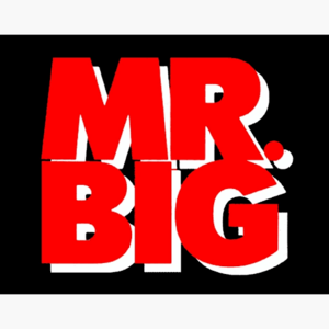 Mr. Big