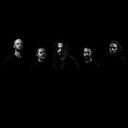 Crow Black Sky