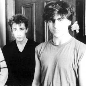 The Chameleons