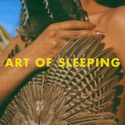 Art of Sleeping