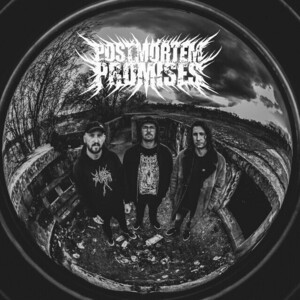 Postmortem Promises