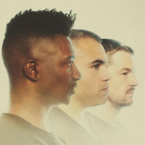 Animals as Leaders