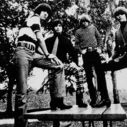 The Standells