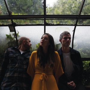 Said the Whale