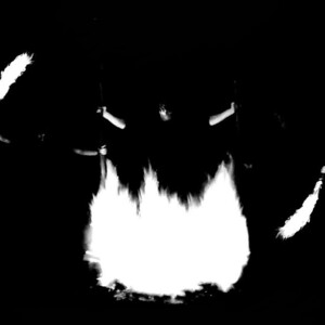Dark Tribe