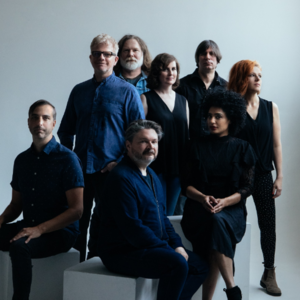 The New Pornographers