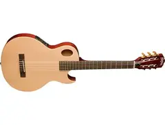 washburn eact42s main image