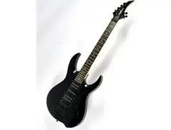 washburn LA-604 main image