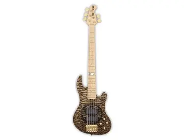 ESP Hiyori Isshiki Custom ESP