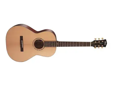Cort Gold Series P6
