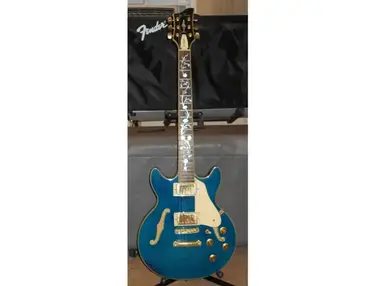 Jay Turser JT-134 Vine