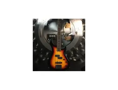 Washburn Lyon LB-40 Bass