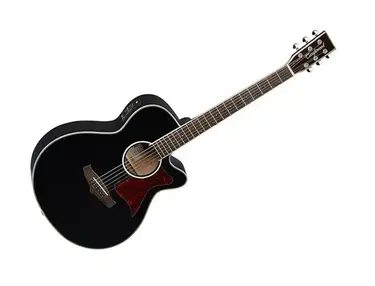 Tanglewood TW4-BK Winterleaf
