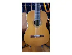 Raimundo Guitars mod 106 main image