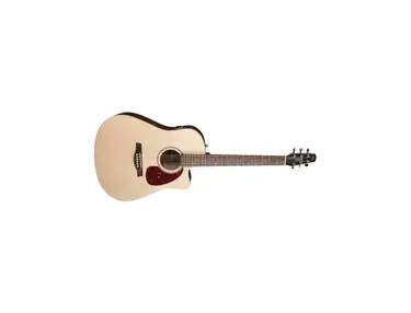 Seagull Coastline Acoustic Guitar