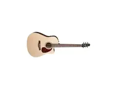 Seagull Coastline Acoustic Guitar