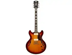 D'Angelico Premier DC Boardwalk P90