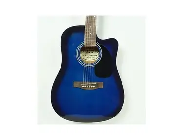 R.W. Jameson Acoustic/Electric Guitar