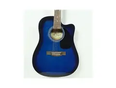 R.W. Jameson Acoustic/Electric Guitar main image