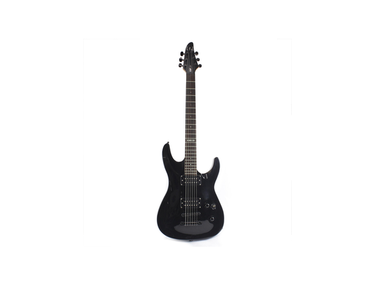 Esp ltd H-100