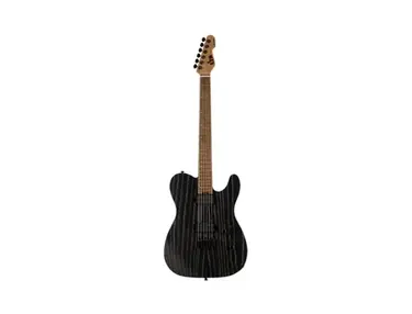 ESP TE-1000