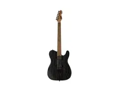 ESP TE-1000 main image