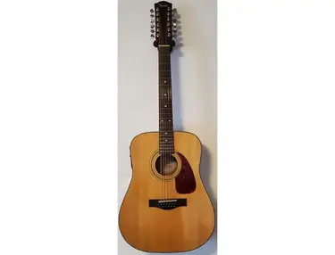 Fender DG-16E-12 12-String Acoustic