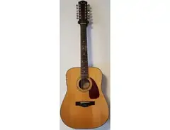 Fender DG-16E-12 12-String Acoustic main image