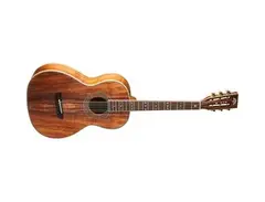 Washburn WP55NS Parlor Guitar main image