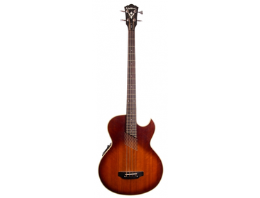 Washburn AB-20 Acoustic/Electric Bass