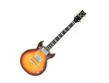 IBANEZ AR300BS