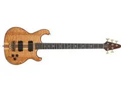 Alembic Persuader Bass main image