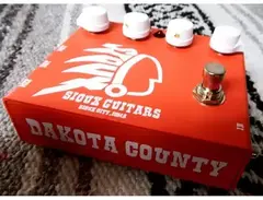 Sioux Guitars Dakota County