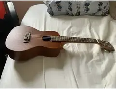 Puka pk 30 ukelele main image