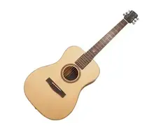Journey Instruments Overhead+ Solid Sitka / Pau Ferro – OF422