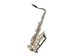 Yamaha YTS-875EX main image