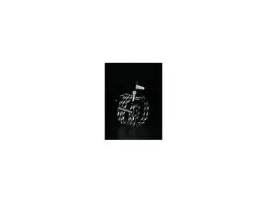 Silverstein Works Original Ligature