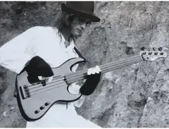 Godin Z1 main image