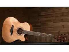 Cadenza Acoustic Guitar main image