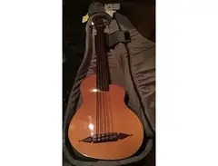 Rick Turner Guitars Renaissance Bass